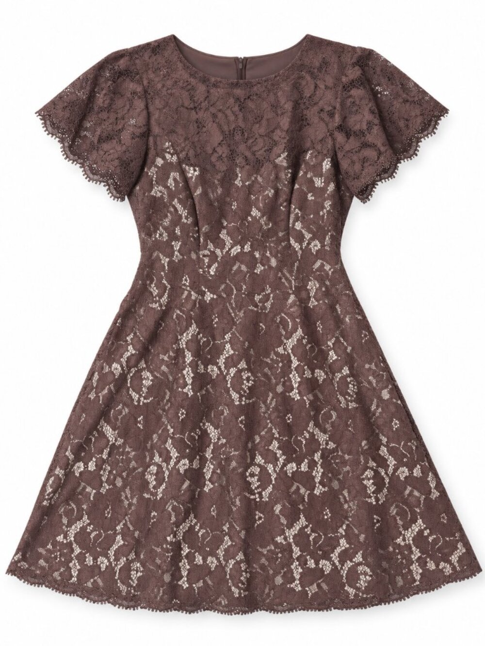 Espresso Lace Adrianna Papell NWT